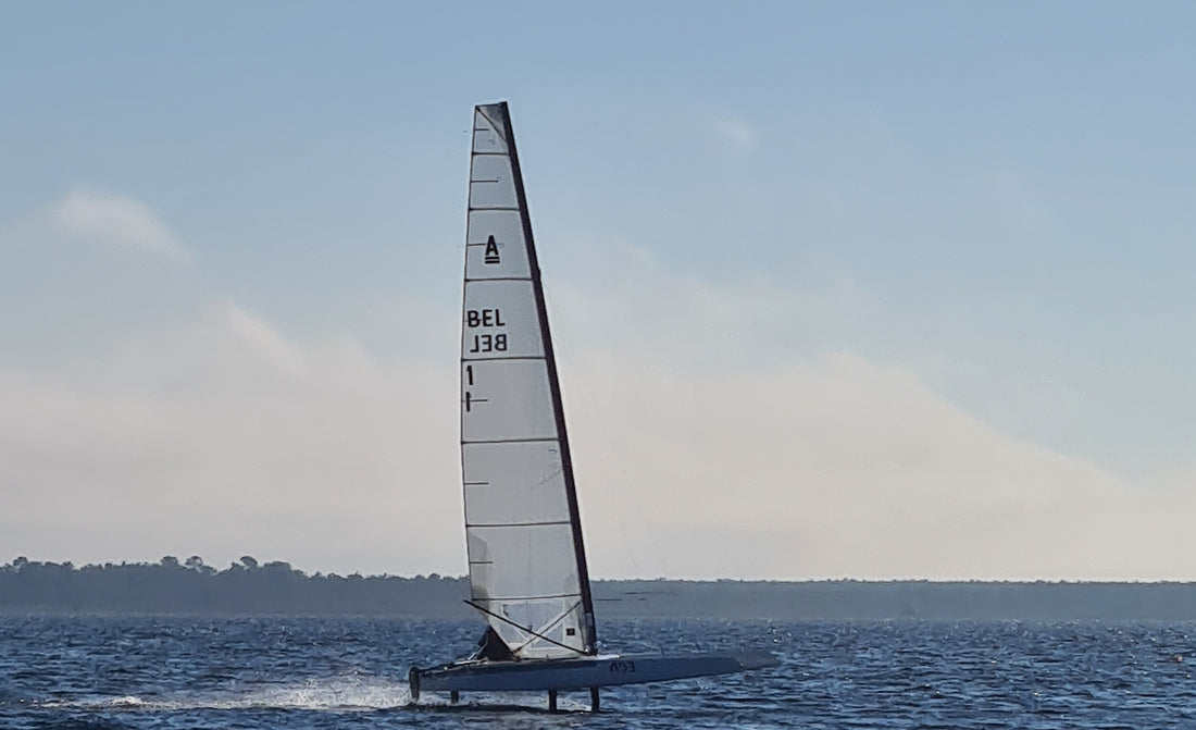 1D Sails Shine at the A-Cat French Nationals