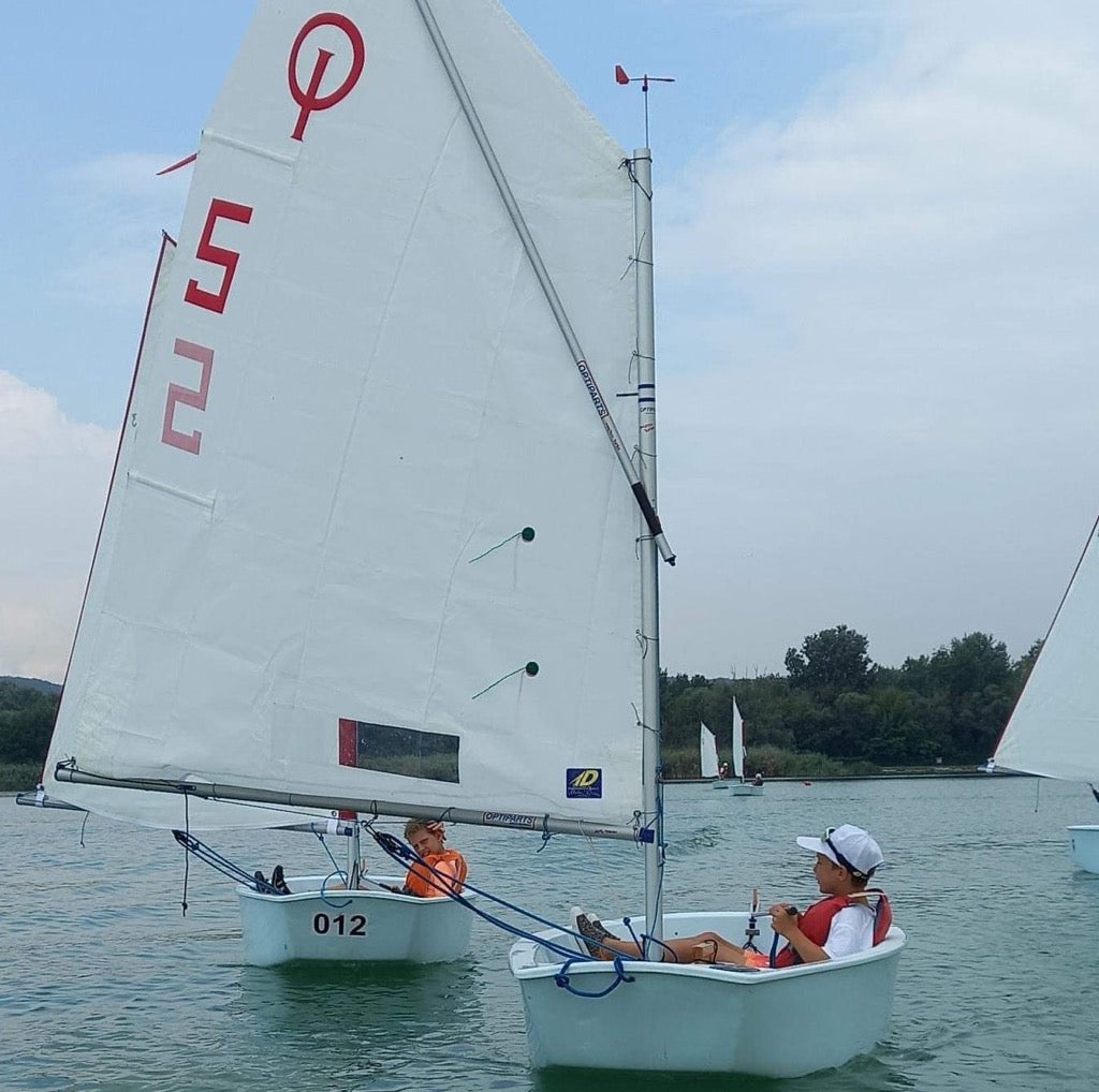 Training Optimist MN mainsail